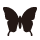 burtterfly