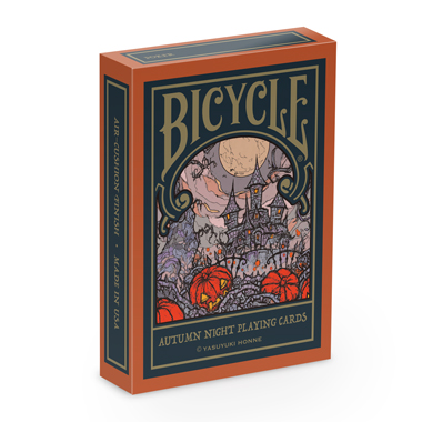 BICYCLE AUTUMN NIGHT