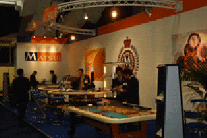 Casino Gaming Show